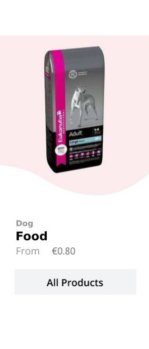dog 1