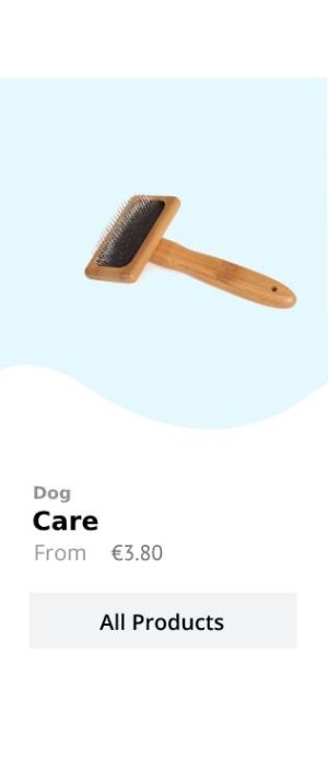 dog 2