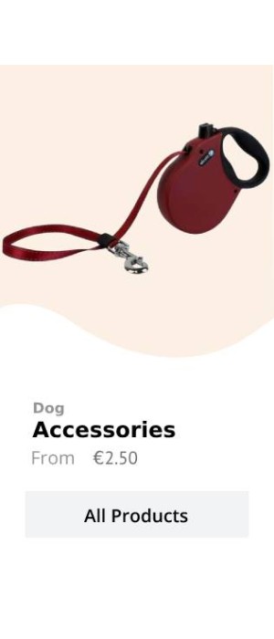 dog 3