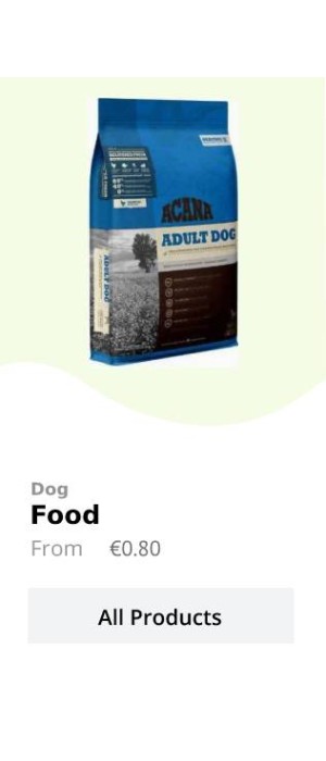 dog 4
