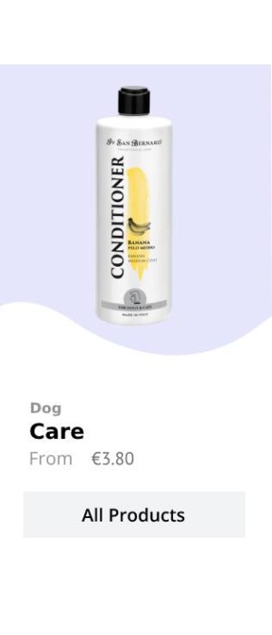 dog 5