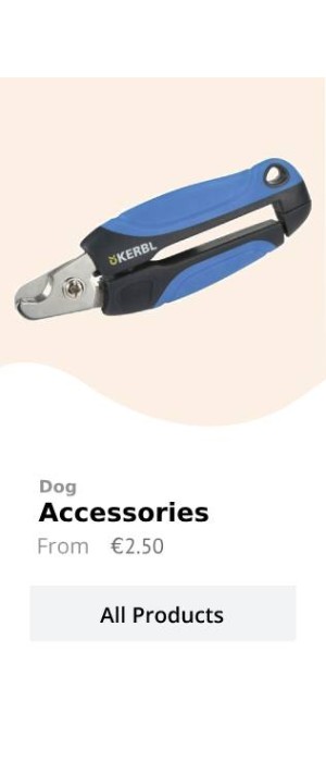 dog 6